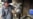 16x9 Image